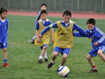 学体育篮球足球都要学吗，学体育篮球足球都要学吗女生