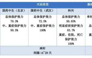 足球脚上部位分为哪两个，足球脚上部位分为哪两个部分