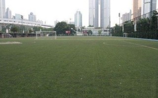 东城有足球场吗在哪，东城有足球场吗在哪里