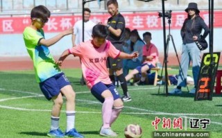 小学校足球校队危险吗，小学足球校队有好处吗